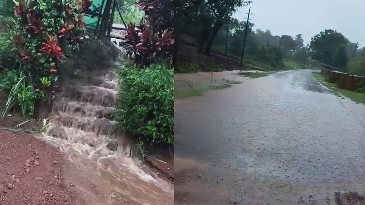 Karnataka Weather Forecast: ಕರಾವಳಿ - ಮಲೆನಾಡಿನಲ್ಲಿ ಭಾರೀ ಮಳೆ ಮುನ್ಸೂಚನೆ; ದಕ್ಷಿಣ ಕನ್ನಡ, ಉಡುಪಿಯಲ್ಲಿ ಶಾಲೆಗಳಿಗೆ ರಜೆ Karnataka Weather Forecast: ಕರಾವಳಿ - ಮಲೆನಾಡಿನಲ್ಲಿ ಭಾರೀ ಮಳೆ ಮುನ್ಸೂಚನೆ; ದಕ್ಷಿಣ ಕನ್ನಡ, ಉಡುಪಿಯಲ್ಲಿ ಶಾಲೆಗಳಿಗೆ ರಜೆ