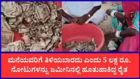 ಜಮೀನಿನಲ್ಲಿ ಹೂತುಹಾಕಿದ್ದ 5 ಲಕ್ಷ ರೂ. ನೋಟುಗಳನ್ನು ತಿಂದ ಗೆದ್ದಲು