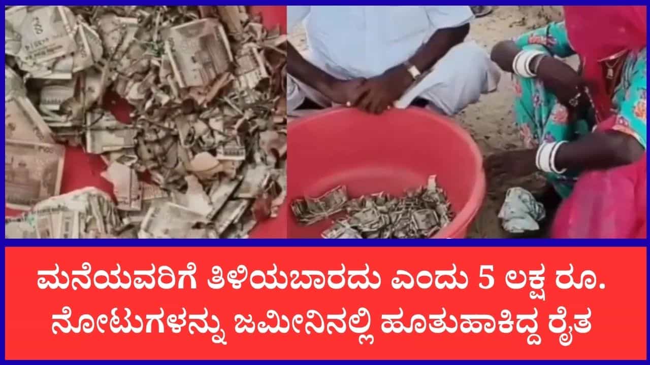 ಜಮೀನಿನಲ್ಲಿ ಹೂತುಹಾಕಿದ್ದ 5 ಲಕ್ಷ ರೂ. ನೋಟುಗಳನ್ನು ತಿಂದ ಗೆದ್ದಲು: ಮರೆವಿನಿಂದ ರೈತನಿಗೆ ಎದುರಾಯ್ತು ಬಹುದೊಡ್ಡ ಸಂಕಷ್ಟ
