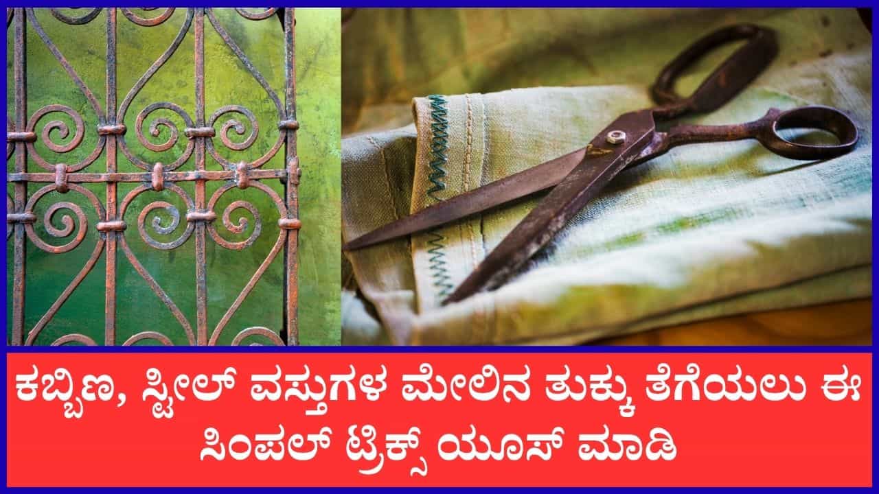 ಇವುಗಳ ಸಹಾಯದಿಂದ ತುಕ್ಕು ಹಿಡಿದ ಕಬ್ಬಿಣ, ಸ್ಟೀಲ್ ವಸ್ತುಗಳನ್ನು ಸುಲಭವಾಗಿ ಸ್ವಚ್ಛಗೊಳಿಸಬಹುದು ಇವುಗಳ ಸಹಾಯದಿಂದ ತುಕ್ಕು ಹಿಡಿದ ಕಬ್ಬಿಣ, ಸ್ಟೀಲ್ ವಸ್ತುಗಳನ್ನು ಸುಲಭವಾಗಿ ಸ್ವಚ್ಛಗೊಳಿಸಬಹುದು