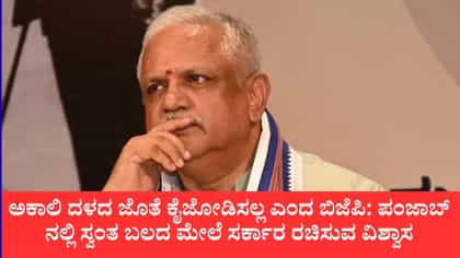 ಪಂಜಾಬ್‌ನಲ್ಲಿ ಎಸ್‌ಎಡಿ ಜೊತೆ ಬಿಜೆಪಿ ಮೈತ್ರಿ ವದಂತಿಗೆ ತೆರೆ