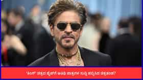 ‘ಕಿಂಗ್’ ಹೈಪ್​​ಗೆ ದಕ್ಷಿಣದಲ್ಲಿ ಹಬ್ಬಿಸಲಾಗುತ್ತಿದೆ ಸುಳ್ಳುಸುದ್ದಿ?