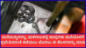 ಹಾವುಗಳು ಮನೆಯೊಳಗೆ ಪ್ರವೇಶಿಸುವುದನ್ನು ತಡೆಯಲು ಪಾಲಿಸಬೇಕಾದ ಕ್ರಮಗಳು