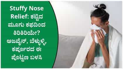 ಮೂಗು ಕಟ್ಟುವಿಕೆ ಮತ್ತು ಕಫ ಕಡಿಮೆ ಮಾಡಲು ಅಜ್ವೈನ್-ಬೆಳ್ಳುಳ್ಳಿ ಪೊಟ್ಟಣ