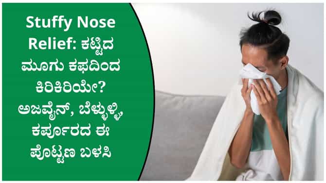ಮೂಗು ಕಟ್ಟುವಿಕೆ ಮತ್ತು ಕಫ ಕಡಿಮೆ ಮಾಡಲು ಅಜ್ವೈನ್-ಬೆಳ್ಳುಳ್ಳಿ ಪೊಟ್ಟಣ