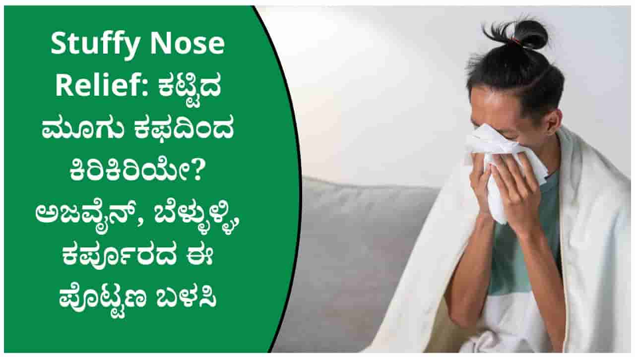 ಮಳೆಗಾಲದಲ್ಲಿ ಕಟ್ಟಿದ ಮೂಗು, ಕಫ ಹೆಚ್ಚಾಗಿದೆಯೇ? ಅಜ್ವೈನ್, ಬೆಳ್ಳುಳ್ಳಿಯ ಸಾಂಪ್ರದಾಯಿಕ ಪೊಟ್ಟಣದ ಬಗ್ಗೆ ತಜ್ಞರ ಸಲಹೆ