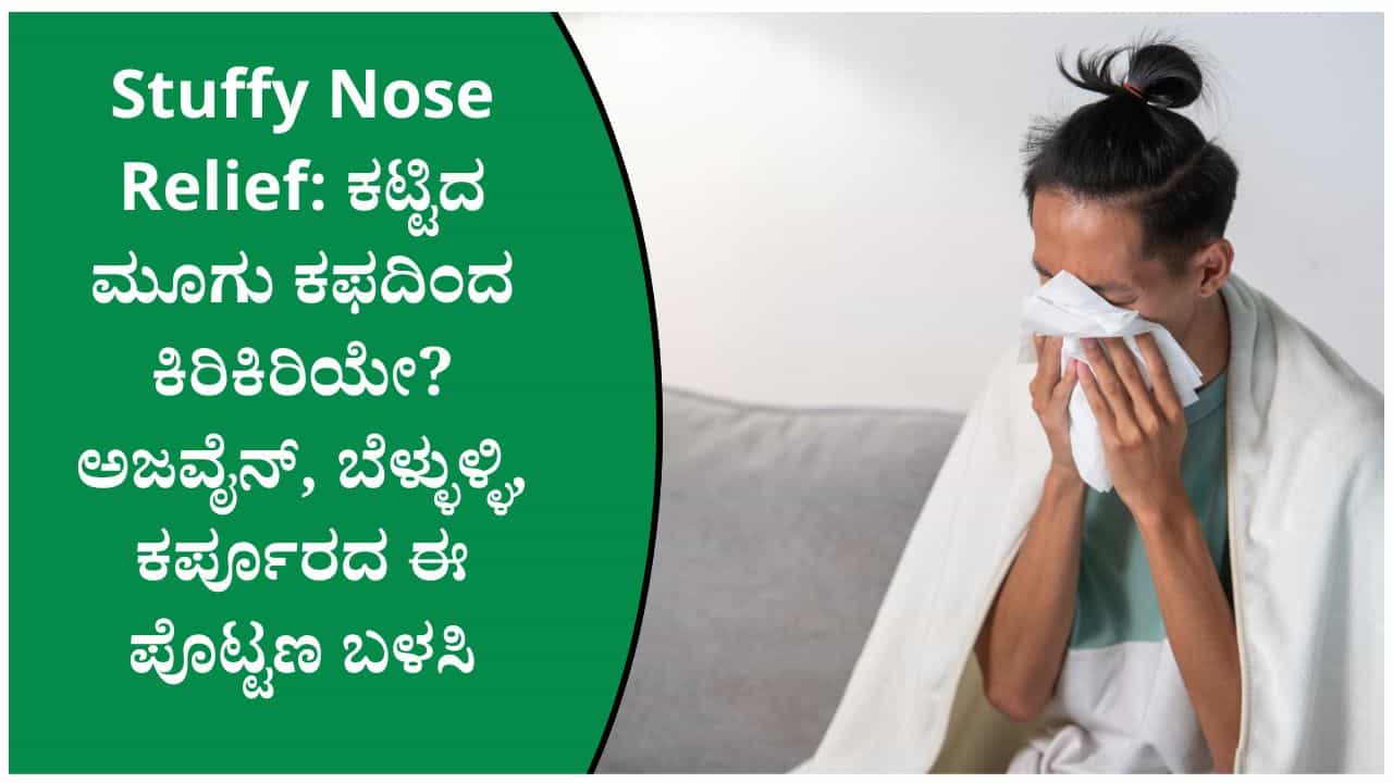 ಮಳೆಗಾಲದಲ್ಲಿ ಕಟ್ಟಿದ ಮೂಗು, ಕಫ ಹೆಚ್ಚಾಗಿದೆಯೇ? ಅಜ್ವೈನ್, ಬೆಳ್ಳುಳ್ಳಿಯ ಸಾಂಪ್ರದಾಯಿಕ ಪೊಟ್ಟಣದ ಬಗ್ಗೆ ತಜ್ಞರ ಸಲಹೆ ಮಳೆಗಾಲದಲ್ಲಿ ಕಟ್ಟಿದ ಮೂಗು, ಕಫ ಹೆಚ್ಚಾಗಿದೆಯೇ? ಅಜ್ವೈನ್, ಬೆಳ್ಳುಳ್ಳಿಯ ಸಾಂಪ್ರದಾಯಿಕ ಪೊಟ್ಟಣದ ಬಗ್ಗೆ ತಜ್ಞರ ಸಲಹೆ