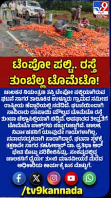 ಟೆಂಪೋ ಪಲ್ಟಿ: ರಸ್ತೆ ಪಾಲಾದ ಟೊಮ್ಯಾಟೊ