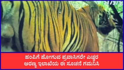 ಪ್ರವಾಸಿಗರೇ ಎಚ್ಚರ: ಹಂಪಿ ಸಮೀಪ ಹುಲಿ ಪ್ರತ್ಯಕ್ಷ! ಅಲರ್ಟ್
