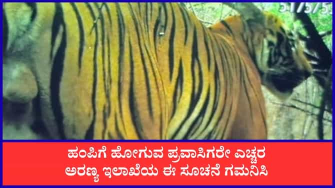 ಪ್ರವಾಸಿಗರೇ ಎಚ್ಚರ: ಹಂಪಿ ಸಮೀಪ ಹುಲಿ ಪ್ರತ್ಯಕ್ಷ! ಅಲರ್ಟ್