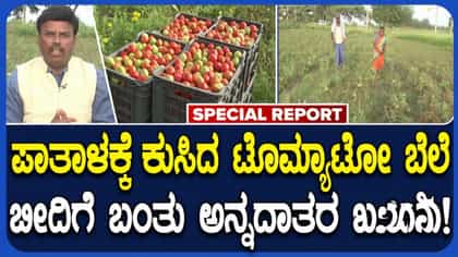 ಟೊಮೆಟೋ ದರ ಕುಸಿತ: ಗದಗದಲ್ಲಿ ರೈತರ ಗೋಳು ಕೇಳುವವರೇ ಇಲ್ಲ
