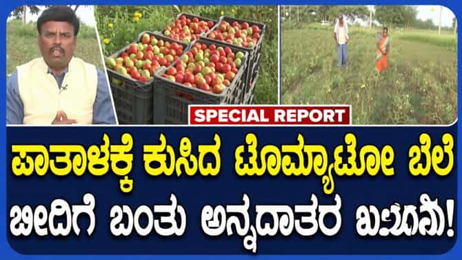 ಟೊಮೆಟೋ ದರ ಕುಸಿತ: ಗದಗದಲ್ಲಿ ರೈತರ ಗೋಳು ಕೇಳುವವರೇ ಇಲ್ಲ