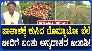 Tomato Price: ಟೊಮೆಟೋ ದರ ಕುಸಿತ: ಗದಗದಲ್ಲಿ ರೈತರ ಗೋಳು ಕೇಳುವವರೇ ಇಲ್ಲ