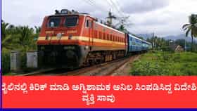 ಪ್ರಯಾಣಿಕರ ಮೇಲೆ ಅಗ್ನಿಶಾಮಕ ಅನಿಲ ಸಿಂಪಡಿಸಿದ್ದ ವಿದೇಶಿ ಪ್ರಜೆ ಸಾವು