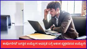 ತನ್ನ ಸಹದ್ಯೋಗಿಗಳನ್ನು ಲೇಆಫ್‌ ಮಾಡಿದ್ದನ್ನು ಕಂಡು ಶಾಕ್ ಆದ ಐಟಿ ಉದ್ಯೋಗಿ