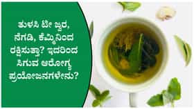 ತುಳಸಿ ಟೀ ಆರೋಗ್ಯಕ್ಕೆ ಎಷ್ಟು ಪ್ರಯೋಜನಕಾರಿ?