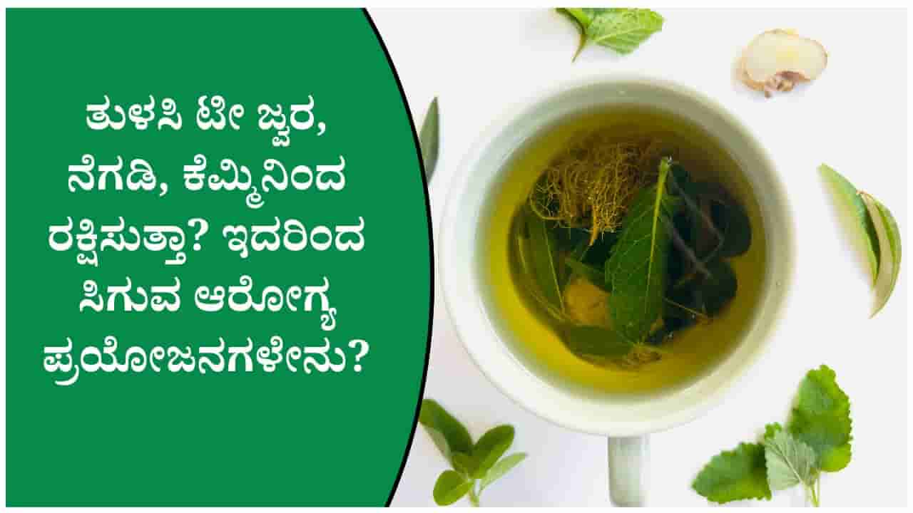 ಪ್ರತಿದಿನ ಒಂದು ಕಪ್ ತುಳಸಿ ಟೀ ಕುಡಿದರೆ ರೋಗನಿರೋಧಕ ಶಕ್ತಿ ಹೆಚ್ಚುತ್ತಾ? ಇಲ್ಲಿದೆ ತಜ್ಞರ ಸಲಹೆ
