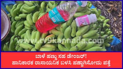 ರಾಸಾಯನಿಕ ಬಳಸಿ ಬಾಳೆಕಾಯಿ ಹಣ್ಣಾಗಿಸುವ ಜಾಲ ಪತ್ತೆ, 10890 ಕೆಜಿ ಹಣ್ಣು ನಾಶ