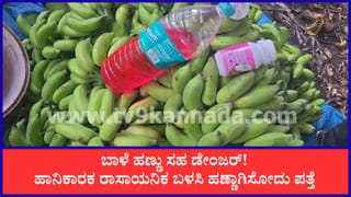 ಉಡುಪಿ: ಹಾನಿಕಾರಕ ರಾಸಾಯನಿಕ ಬಳಸಿ ಬಾಳೆಕಾಯಿ ಹಣ್ಣಾಗಿಸುವ ಜಾಲ ಪತ್ತೆ, 10890 ಕೆಜಿ ಹಣ್ಣು ನಾಶ
