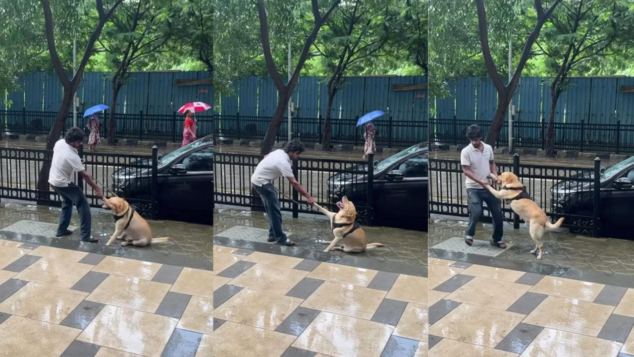 Video: ತನ್ನ ಜತೆಗೆ ವಾಕಿಂಗ್ಗೆ ಬಂದ ಶ್ವಾನವನ್ನು ಮನೆಗೆ ಕರೆದೊಯ್ಯಲು ಹರಸಾಹಸ ಪಟ್ಟ ಯುವಕ