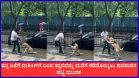 ಶ್ವಾನದ ಜತೆಗೆ ವಾಕಿಂಗ್ ಹೊರಟ ಯುವಕ, ಮುಂದೆ ಆಗಿದ್ದೇ ಬೇರೆ