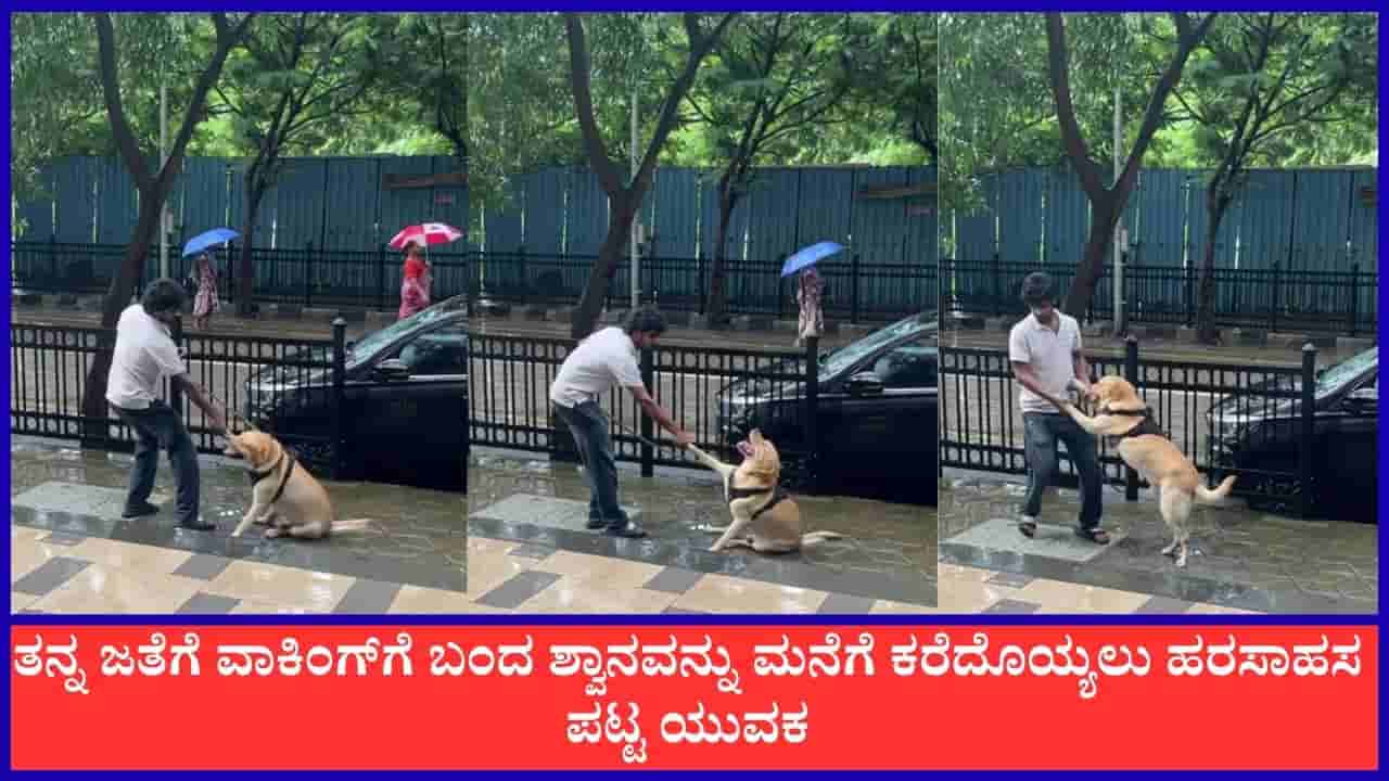 Video: ತನ್ನ ಜತೆಗೆ ವಾಕಿಂಗ್ಗೆ ಬಂದ ಶ್ವಾನವನ್ನು ಮನೆಗೆ ಕರೆದೊಯ್ಯಲು ಹರಸಾಹಸ ಪಟ್ಟ ಯುವಕ