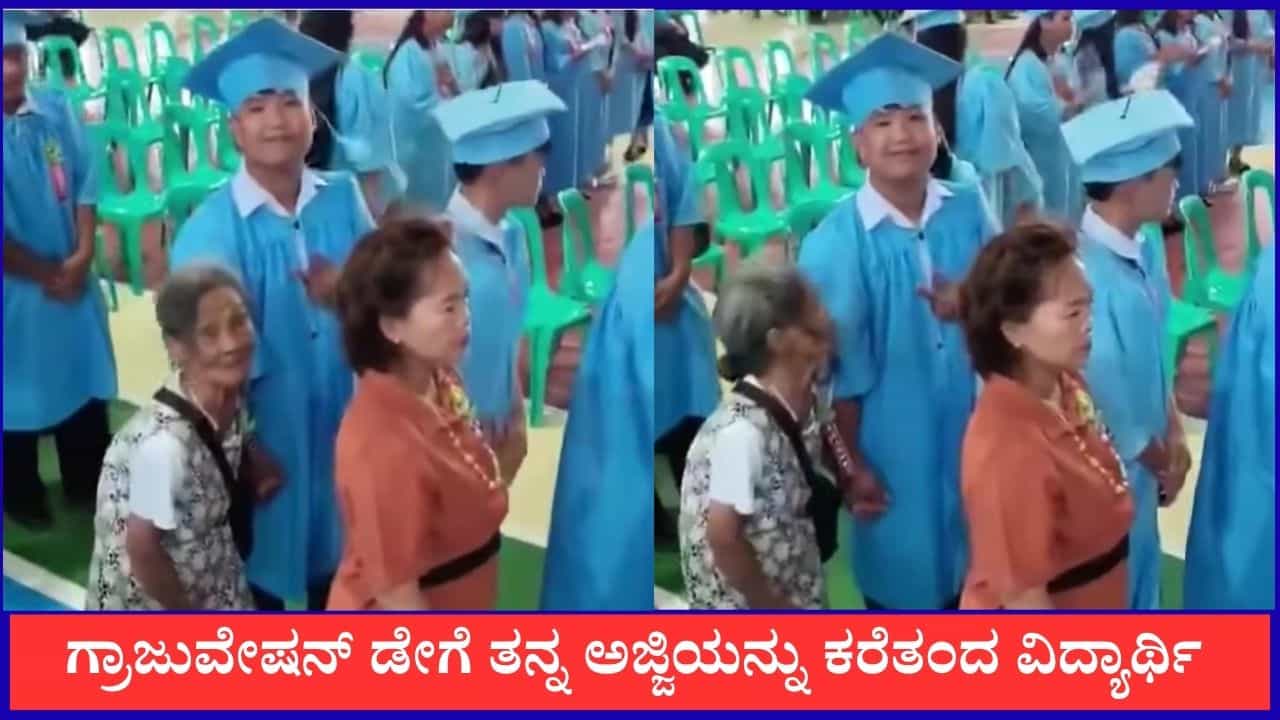 Video: ಗ್ರಾಜುವೇಷನ್ ಡೇಗೆ ಅಜ್ಜಿಯೊಂದಿಗೆ ಬಂದ ವಿದ್ಯಾರ್ಥಿ, ವೈರಲ್ ಆಯ್ತು ದೃಶ್ಯ Video: ಗ್ರಾಜುವೇಷನ್ ಡೇಗೆ ಅಜ್ಜಿಯೊಂದಿಗೆ ಬಂದ ವಿದ್ಯಾರ್ಥಿ, ವೈರಲ್ ಆಯ್ತು ದೃಶ್ಯ