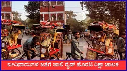 ಬೀದಿನಾಯಿಗಳ ಜತೆಗೆ ಜಾಲಿ ರೈಡ್ ಹೊರಟ ರಿಕ್ಷಾ ಚಾಲಕ