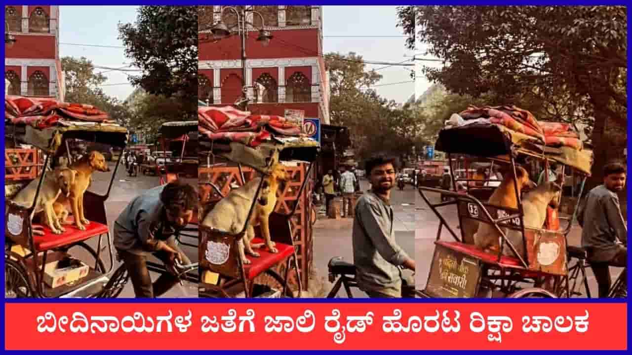 Video: ಬೀದಿನಾಯಿಗಳ ಜತೆಗೆ ಜಾಲಿ ರೈಡ್ ಹೊರಟ ರಿಕ್ಷಾ ಚಾಲಕ