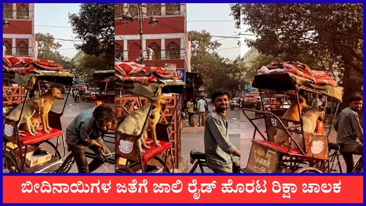 Video: ಬೀದಿನಾಯಿಗಳ ಜತೆಗೆ ಜಾಲಿ ರೈಡ್ ಹೊರಟ ರಿಕ್ಷಾ ಚಾಲಕ Video: ಬೀದಿನಾಯಿಗಳ ಜತೆಗೆ ಜಾಲಿ ರೈಡ್ ಹೊರಟ ರಿಕ್ಷಾ ಚಾಲಕ