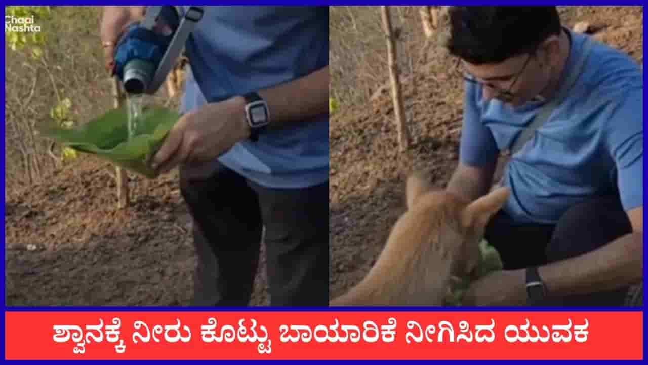 Video: ಶ್ವಾನಕ್ಕೆ ನೀರು ಕೊಟ್ಟು ಬಾಯಾರಿಕೆ ನೀಗಿಸಿದ ಯುವಕ, ವೈರಲ್ ಆಯ್ತು ದೃಶ್ಯ