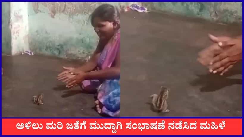 Video: ಮಹಿಳೆಯ ಮಾತಿಗೆ ಚಪ್ಪಾಳೆ ತಟ್ಟಿ ಪ್ರತಿಕ್ರಿಯಿಸಿದ ಅಳಿಲು ಮರಿ