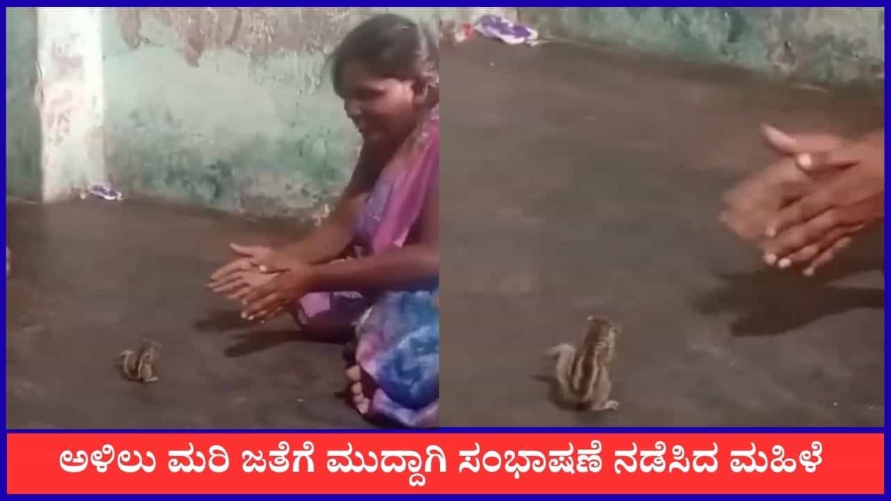 Video: ಮಹಿಳೆಯ ಮಾತಿಗೆ ಚಪ್ಪಾಳೆ ತಟ್ಟಿ ಪ್ರತಿಕ್ರಿಯಿಸಿದ ಅಳಿಲು ಮರಿ