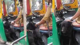 ಈ ಆಟೋಡ್ರೈವರ್‌ಗೆ ತನ್ನ ಮುದ್ದಿನ ಶ್ವಾನವೇ ಕಾವಲು; ಇದೇ ನೋಡಿ ಶುದ್ಧ ಪ್ರೀತಿ