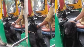 Video: ದುಡಿಮೆಯಲ್ಲಿ ಆಟೋ ಡ್ರೈವರ್‌ಗೆ ಜತೆಯಾಗುವ  ಶ್ವಾನ, ವೈರಲ್‌ ಆಯ್ತು ದೃಶ್ಯ