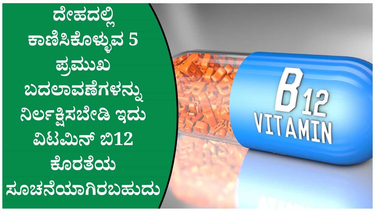 ವಿಟಮಿನ್ ಬಿ12 ಕಡಿಮೆಯಾದರೆ ದೇಹದಲ್ಲಿ ಏನಾಗುತ್ತದೆ? ವೈದ್ಯರು ಹೇಳಿದ ಈ 5 ಲಕ್ಷಣಗಳನ್ನು ನಿರ್ಲಕ್ಷಿಸಬೇಡಿ ವಿಟಮಿನ್ ಬಿ12 ಕಡಿಮೆಯಾದರೆ ದೇಹದಲ್ಲಿ ಏನಾಗುತ್ತದೆ? ವೈದ್ಯರು ಹೇಳಿದ ಈ 5 ಲಕ್ಷಣಗಳನ್ನು ನಿರ್ಲಕ್ಷಿಸಬೇಡಿ