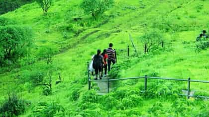 ಸರಣಿ ಸಾವು, ನಾಪತ್ತೆ ಪ್ರಕರಣ ಹೆಚ್ಚಳ ಬೆನ್ನಲ್ಲೇ ಅರಣ್ಯ ಇಲಾಖೆ ಅಲರ್ಟ್