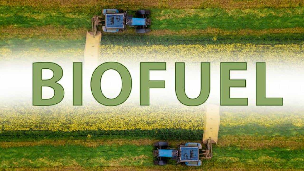 World Biofuel Day 2026: ಜೈವಿಕ ಇಂಧನ ಬಳಕೆಯ ಪ್ರಯೋಜನಗಳೇನು?