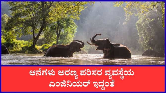ವಿಶ್ವ ಆನೆ ದಿನವನ್ನು ಆಚರಿಸುವುದೇಕೆ?
