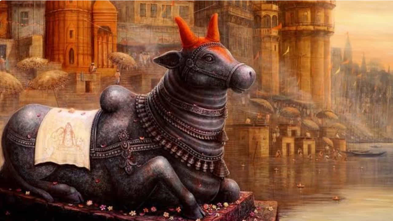 Nandi Worship: ತ್ರಯೋದಶಿಯಂದು ನಂದೀಶ್ವರನ ಪೂಜೆ ಏಕೆ ಮಾಡಬೇಕು? ಶಿವನ ಆಶೀರ್ವಾದ ಪಡೆಯಲು ಹೀಗೆ ಪೂಜಿಸಿ Nandi Worship: ತ್ರಯೋದಶಿಯಂದು ನಂದೀಶ್ವರನ ಪೂಜೆ ಏಕೆ ಮಾಡಬೇಕು? ಶಿವನ ಆಶೀರ್ವಾದ ಪಡೆಯಲು ಹೀಗೆ ಪೂಜಿಸಿ