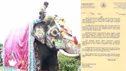 ಮೈಸೂರು ದಸರಾಗೆ ನಿಶಾನೆ ಆನೆಯಾಗಿ ಅಭಿಮನ್ಯು ಆಯ್ಕೆ