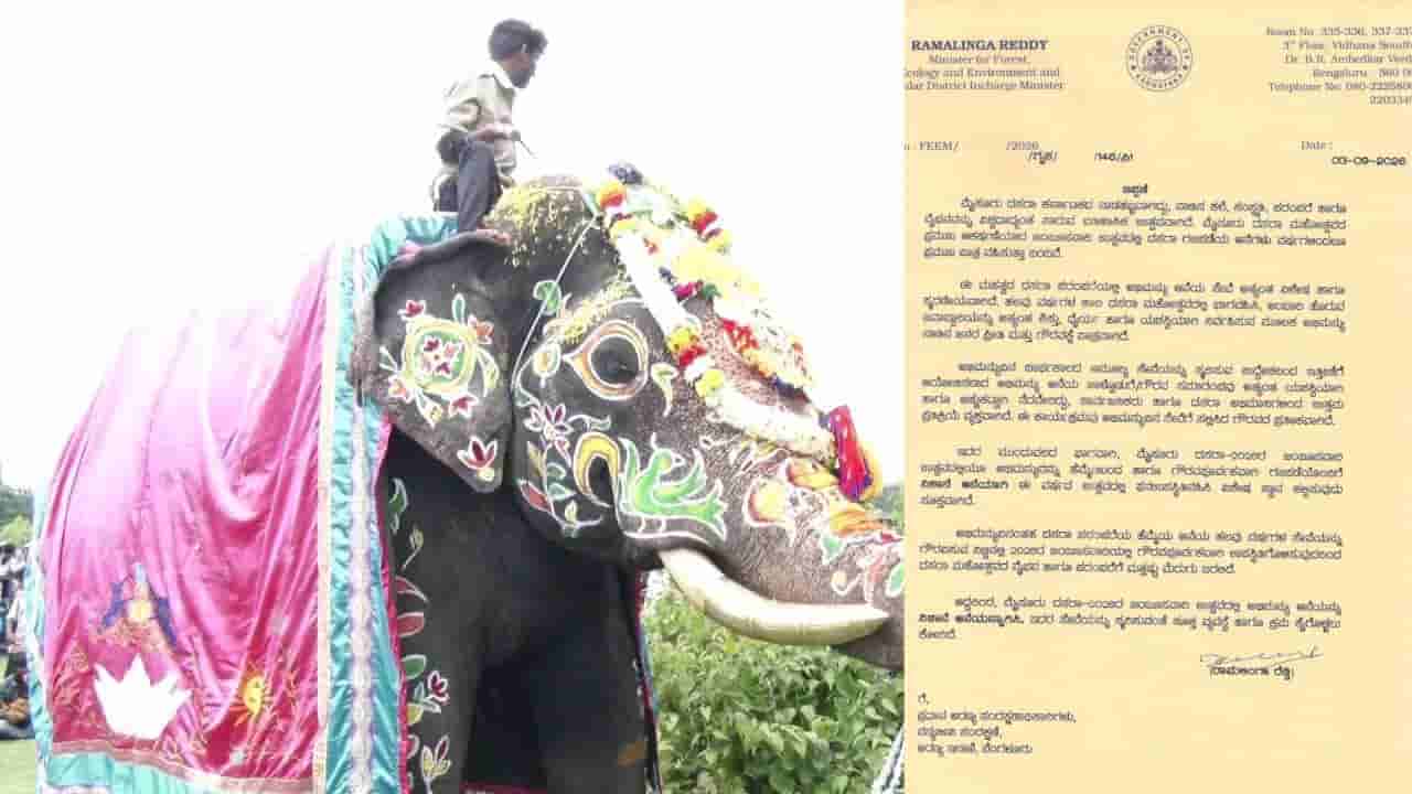 ಅಭಿಮಾನಿಗಳ ಒತ್ತಾಸೆಗೆ ಮಣಿದ ಸರ್ಕಾರ: ಮೈಸೂರು ದಸರಾಗೆ ನಿಶಾನೆ ಆನೆಯಾಗಿ ಅಭಿಮನ್ಯು ಆಯ್ಕೆ