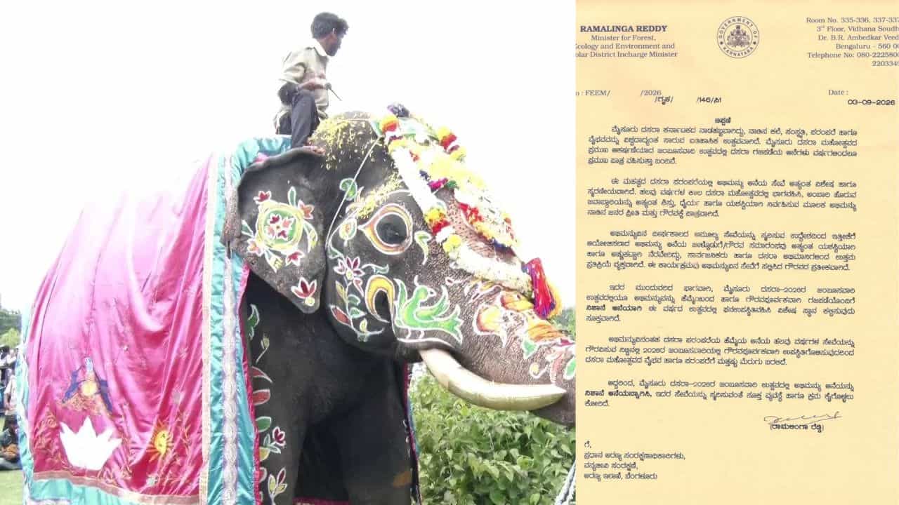 ಅಭಿಮಾನಿಗಳ ಒತ್ತಾಸೆಗೆ ಮಣಿದ ಸರ್ಕಾರ: ಮೈಸೂರು ದಸರಾಗೆ ನಿಶಾನೆ ಆನೆಯಾಗಿ ಅಭಿಮನ್ಯು ಆಯ್ಕೆ