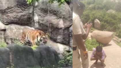 ಹುಲಿ ಬಂದಿದೆ ಎಂದು ಎಐ ವಿಡಿಯೋ ಹರಿಬಿಟ್ಟ ಯುವಕ!