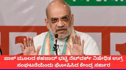 ಭಾರತದ ನಿಷೇಧಿತ ಉಗ್ರ ಸಂಘಟನೆಯ ಪಟ್ಟಿಗೆ ಸೇರಿದ ಶಹಜಾದ್ ಭಟ್ಟಿ ನೆಟ್‌ವರ್ಕ್