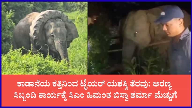 ಅಸ್ಸಾಂ: ಕತ್ತಿನಲ್ಲಿ ದೊಡ್ಡ ಟೈಯರ್ ಸಿಲುಕಿ ಪರದಾಡಿದ ಕಾಡಾನೆ; ಯಶಸ್ವಿ ರಕ್ಷಣಾ ಕಾರ್ಯಾಚರಣೆ