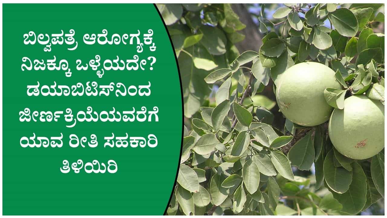 ಬಿಲ್ವಪತ್ರೆ ಶಿವನ ಪೂಜೆಗೆ ಮಾತ್ರವಲ್ಲ! ಖಾಲಿ ಹೊಟ್ಟೆಯಲ್ಲಿ ತಿನ್ನುವುದರಿಂದಲೂ ಸಾಕಷ್ಟು ಪ್ರಯೋಜನಗಳಿವೆ
