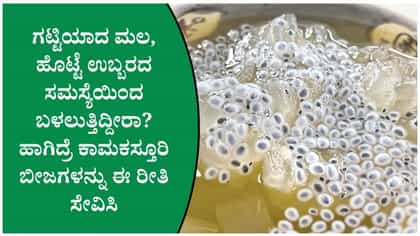 ಮಲಬದ್ಧತೆ ಸಮಸ್ಯೆ ಇರುವವರು ಒಂದು ಚಮಚ ಕಾಮಕಸ್ತೂರಿ ಬೀಜವನ್ನು ಸೇವಿಸಿ ನೋಡಿ