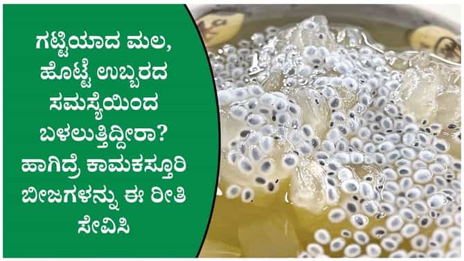 ಮಲಬದ್ಧತೆ ಸಮಸ್ಯೆ ಇರುವವರು ಒಂದು ಚಮಚ ಕಾಮಕಸ್ತೂರಿ ಬೀಜವನ್ನು ಸೇವಿಸಿ ನೋಡಿ
