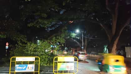 ಬೆಂಗಳೂರು ಮಳೆಗೆ ಹಲವು ಅವಾಂತರ: ರಸ್ತೆಗಳಿಗೆ ಮರ ಬಿದ್ದು ಸಂಚಾರಕ್ಕೆ ಅಡಚಣೆ